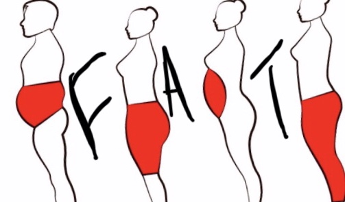 because why not? theatre company “Fat” auditions