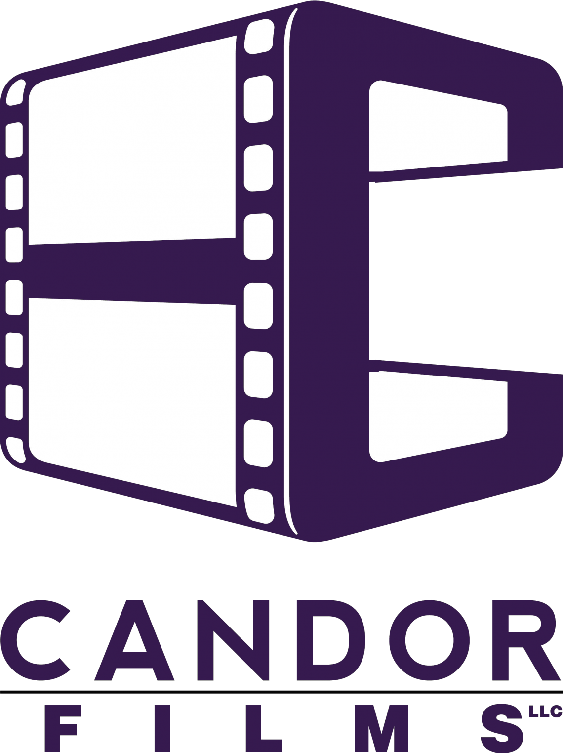 Volunteer Videographer